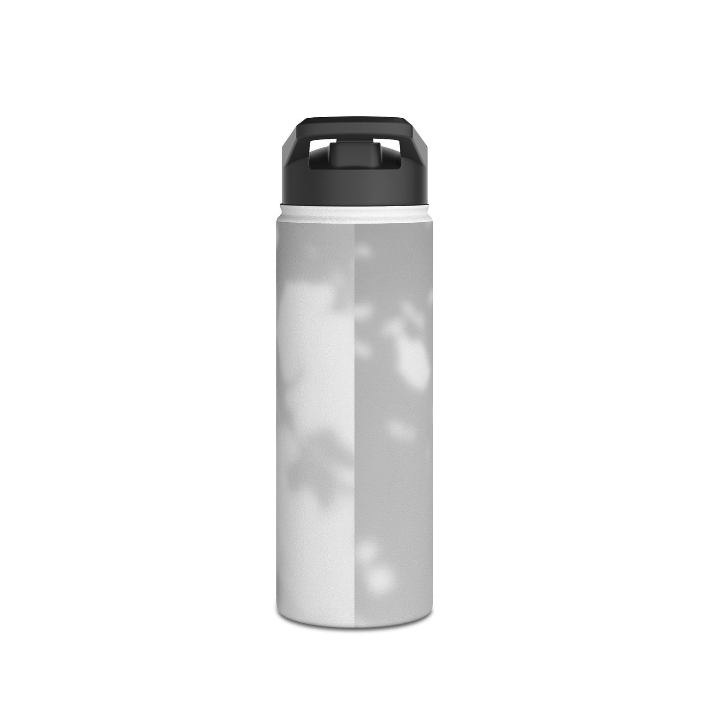 Stainless Steel Water Bottle, Standard Lid