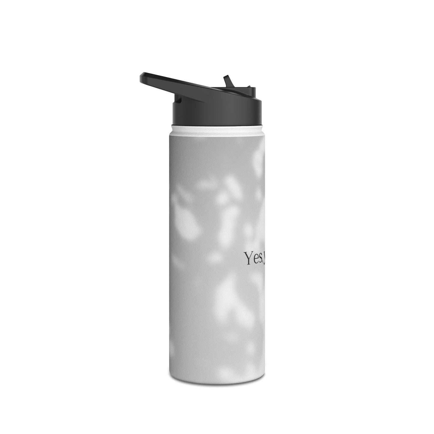 Stainless Steel Water Bottle, Standard Lid