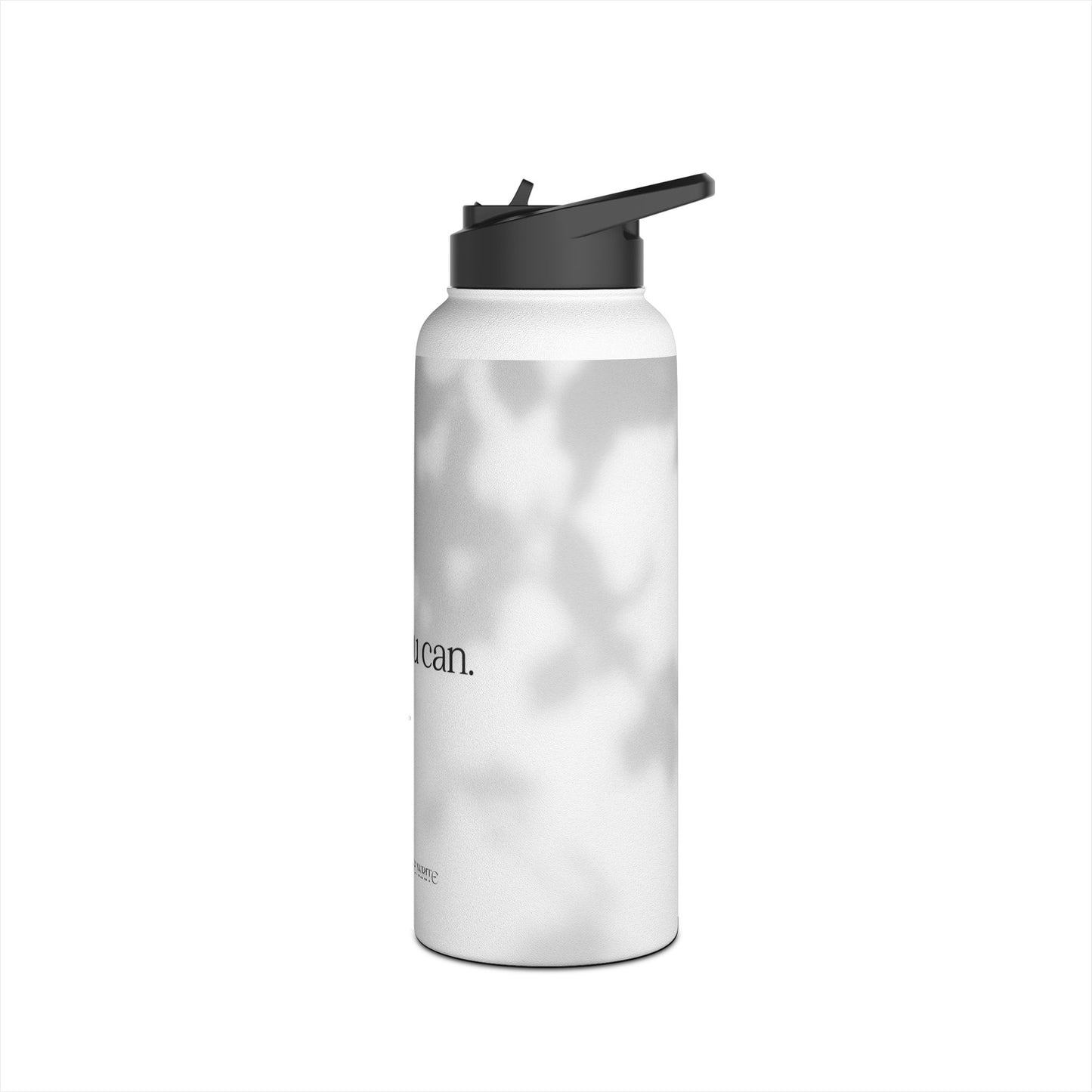 Stainless Steel Water Bottle, Standard Lid